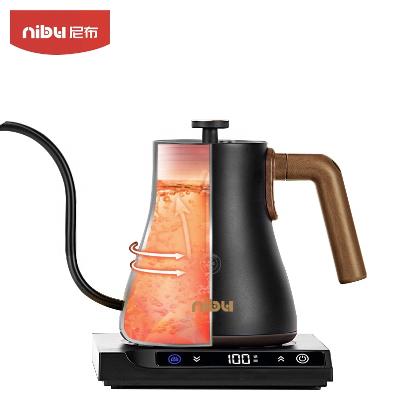 Stainless Steel Electric Kettl - Electric Kettle Temperature Control recension och pris